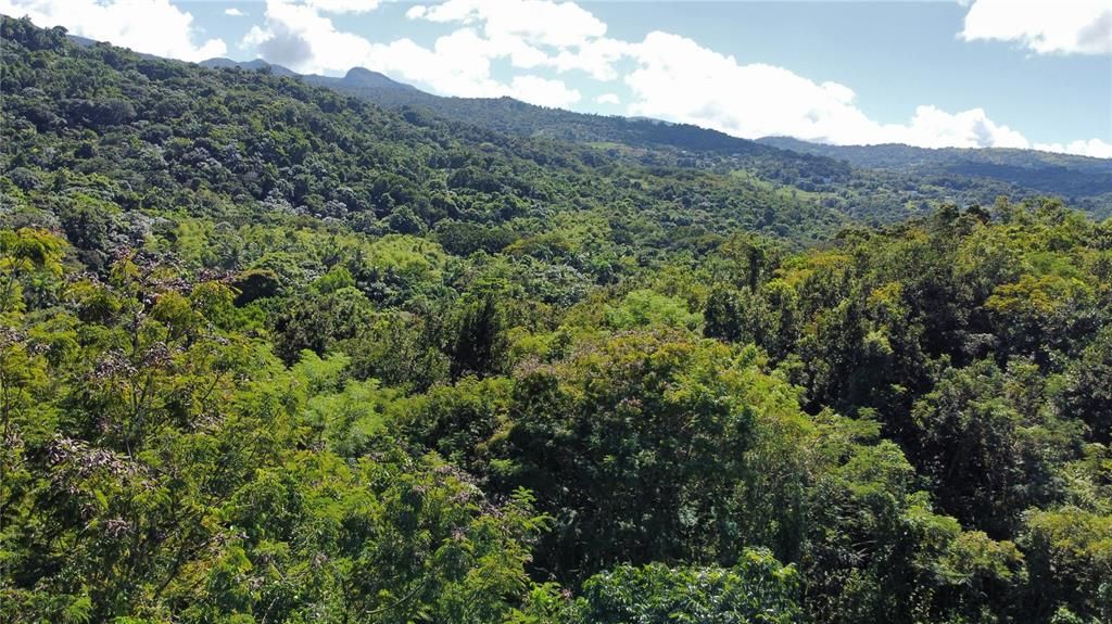 En Venta: $250,000 (3 camas, 2 baños, 1732 Pies cuadrados)