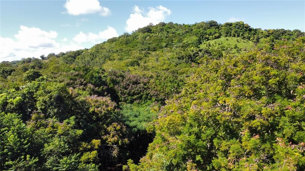 En Venta: $250,000 (3 camas, 2 baños, 1732 Pies cuadrados)