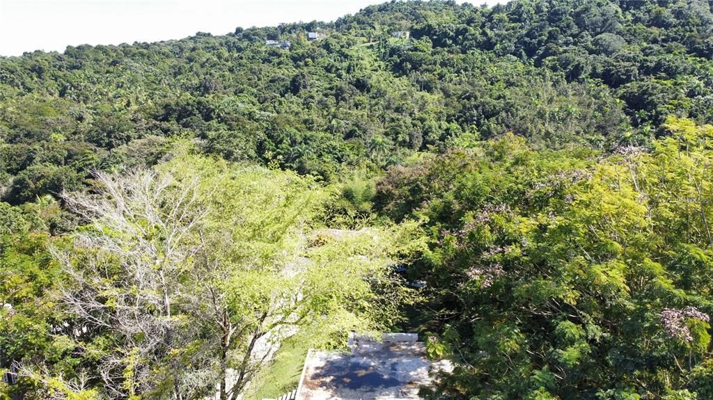 En Venta: $250,000 (3 camas, 2 baños, 1732 Pies cuadrados)