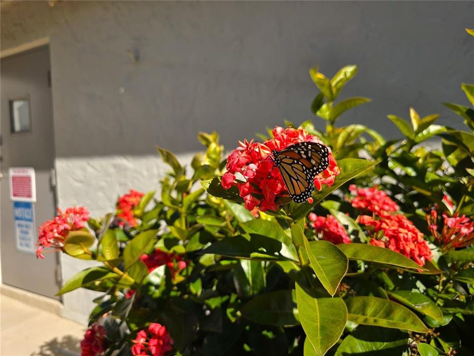 待售: $77,400 (1 贝兹, 1 浴室, 700 平方英尺)