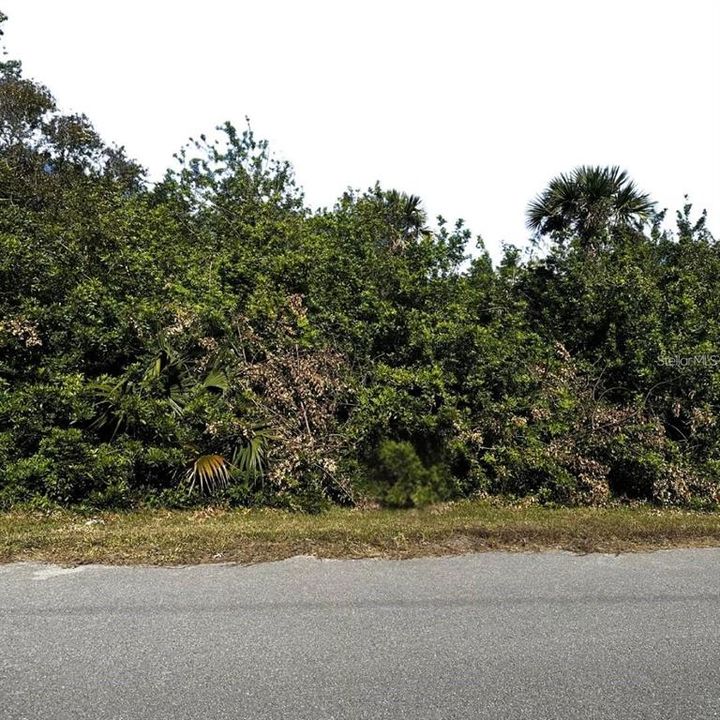 待售: $64,990 (1.59 acres)