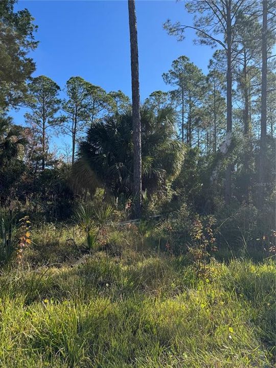 На продажу: $24,990 (0.34 acres)