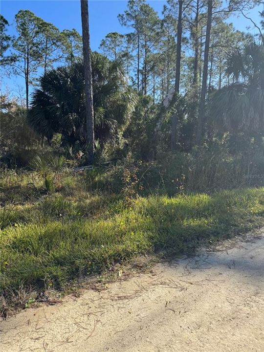 На продажу: $24,990 (0.34 acres)