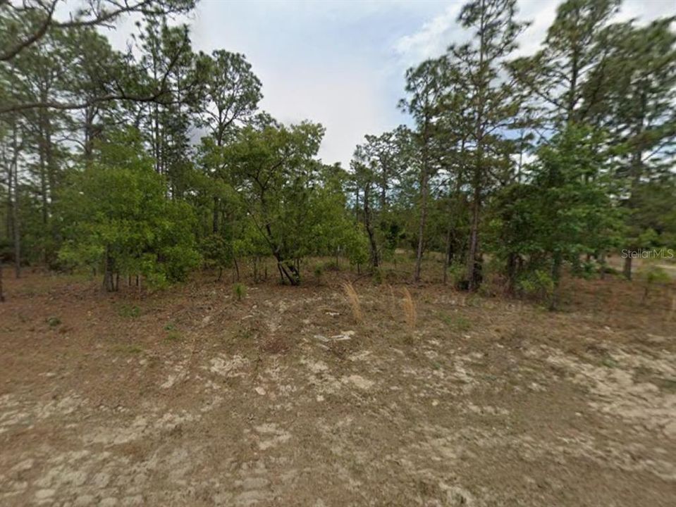 For Sale: $22,500 (0.23 acres)