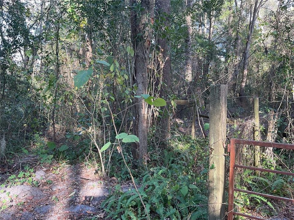 For Sale: $19,990 (0.23 acres)