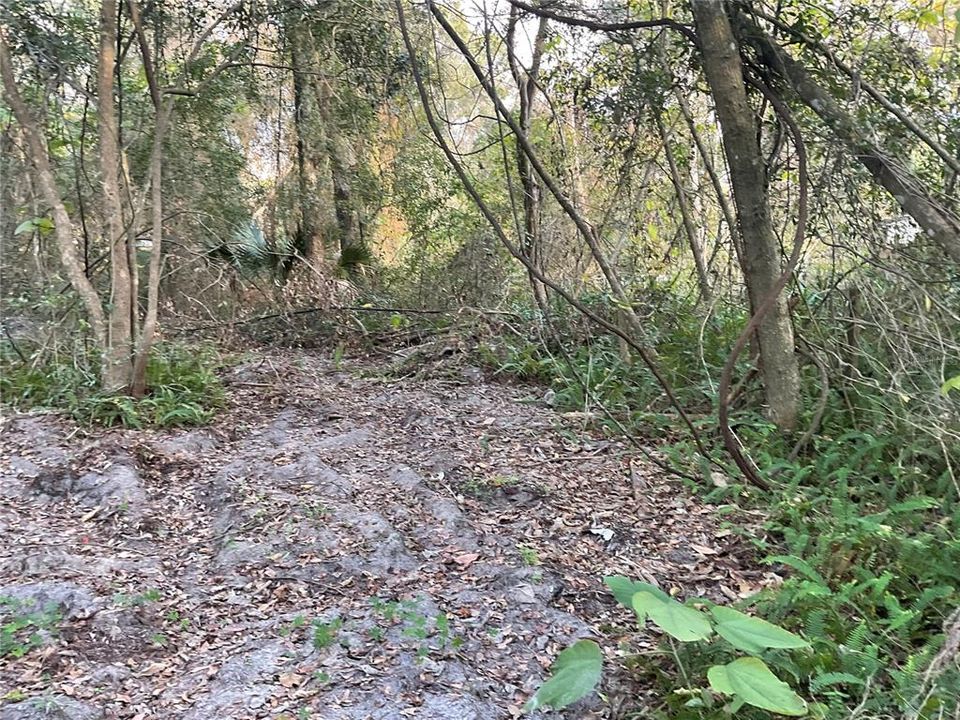 For Sale: $19,990 (0.23 acres)