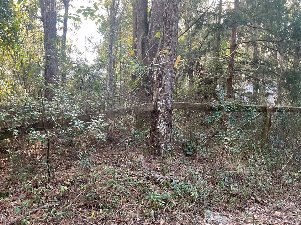 For Sale: $19,990 (0.23 acres)