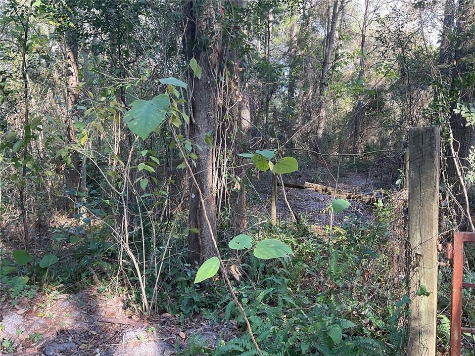 For Sale: $19,990 (0.23 acres)