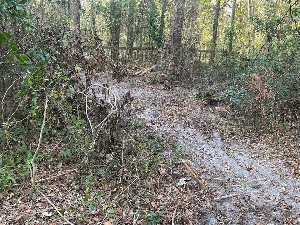 For Sale: $19,990 (0.23 acres)