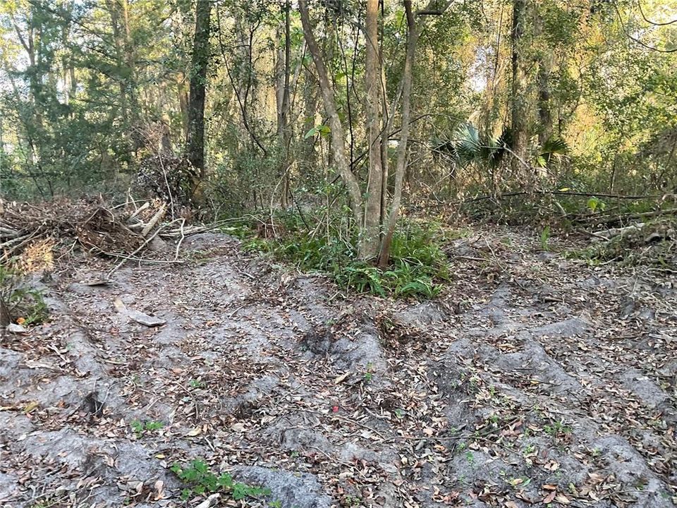 For Sale: $19,990 (0.23 acres)