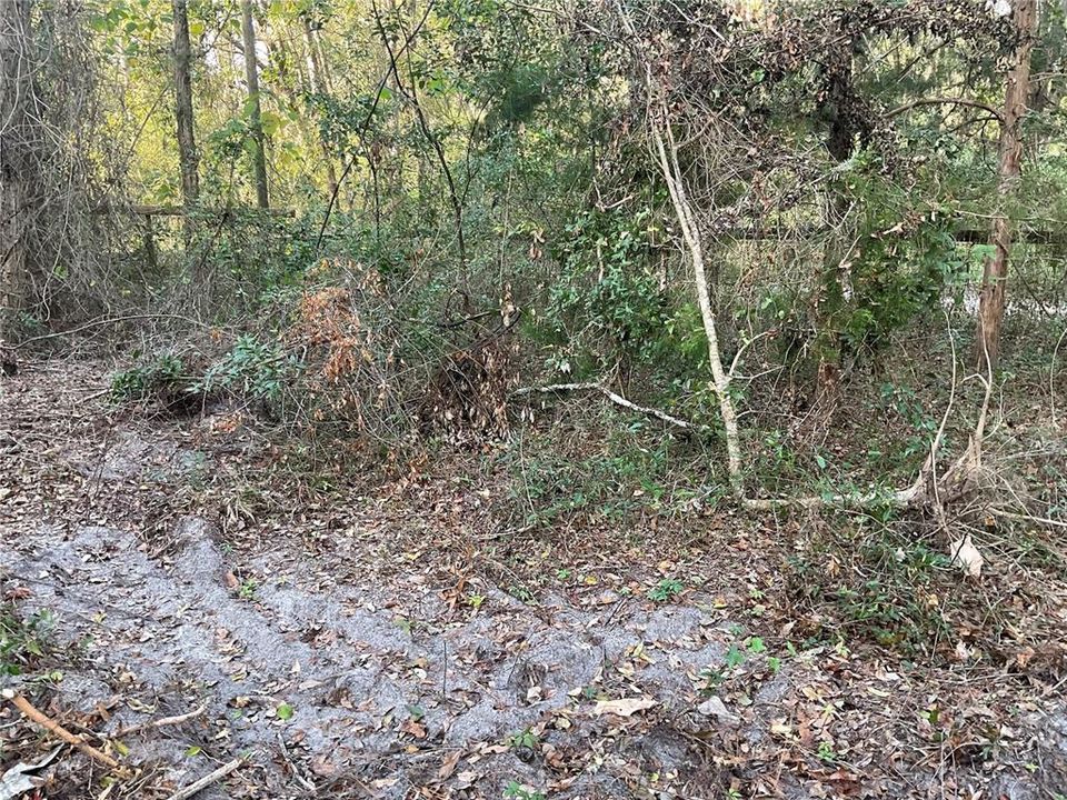 For Sale: $19,990 (0.23 acres)