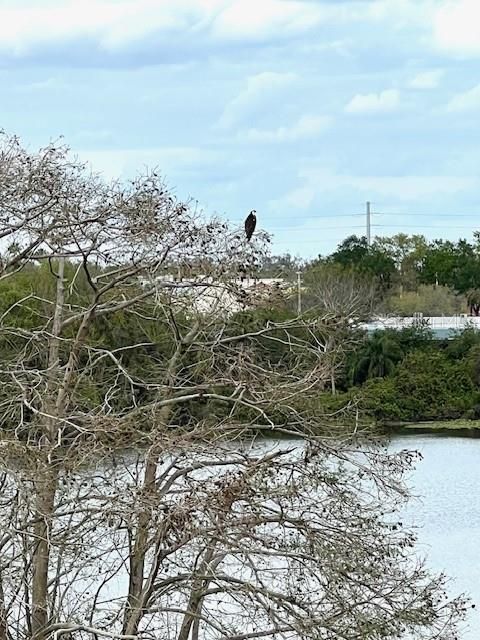 For Rent: $1,650 (2 beds, 2 baths, 1190 Square Feet)