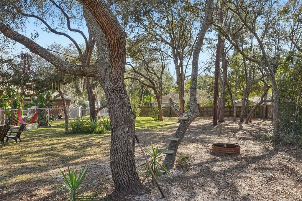 For Sale: $350,000 (3 beds, 2 baths, 1240 Square Feet)