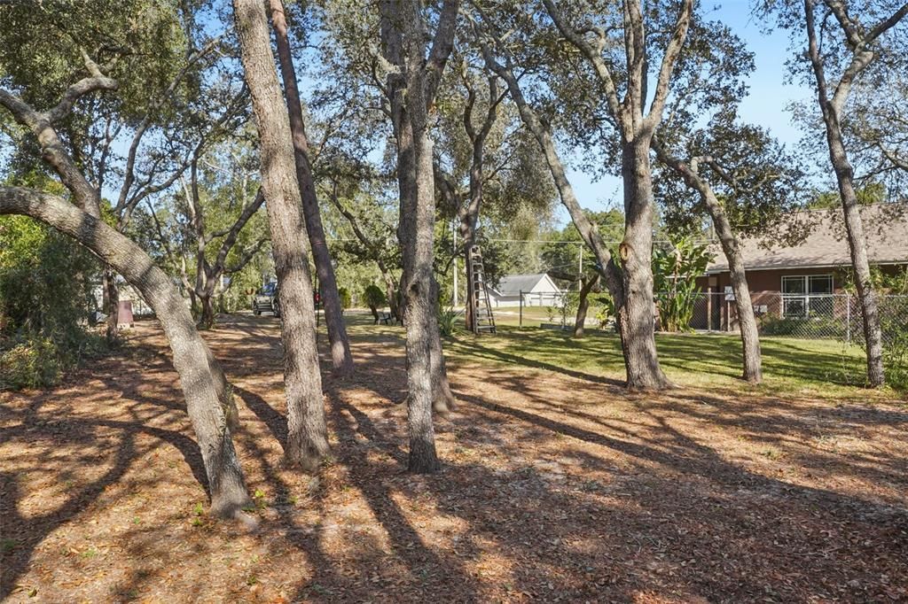 For Sale: $350,000 (3 beds, 2 baths, 1240 Square Feet)