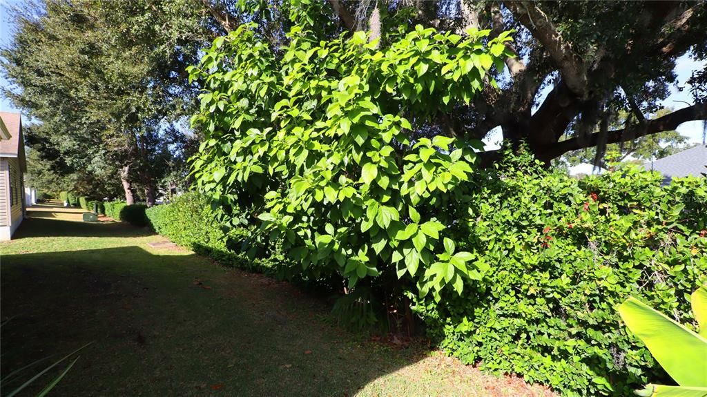 En Venta: $345,000 (3 camas, 2 baños, 1463 Pies cuadrados)