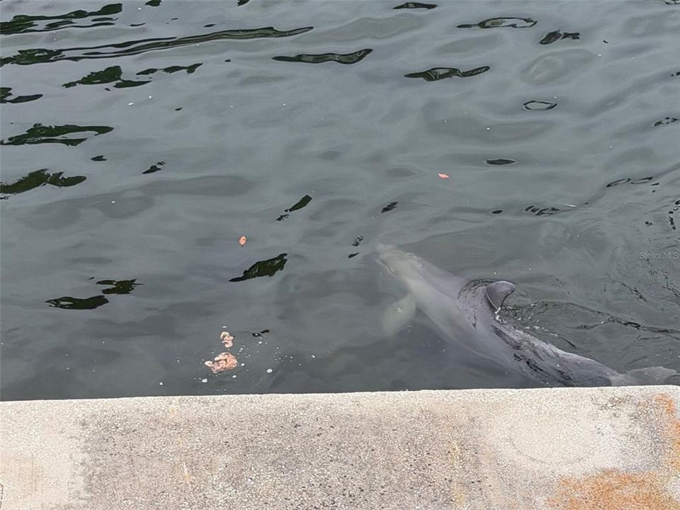 待售: $535,000 (3 贝兹, 3 浴室, 1897 平方英尺)