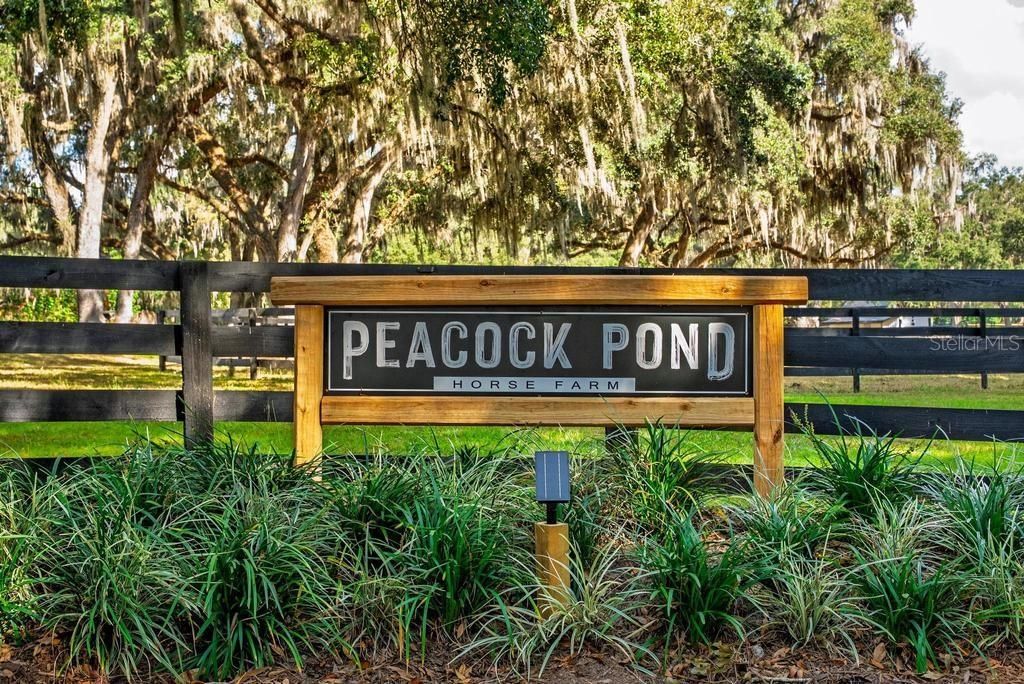 For Sale: $1,850,000 (3 beds, 3 baths, 1945 Square Feet)