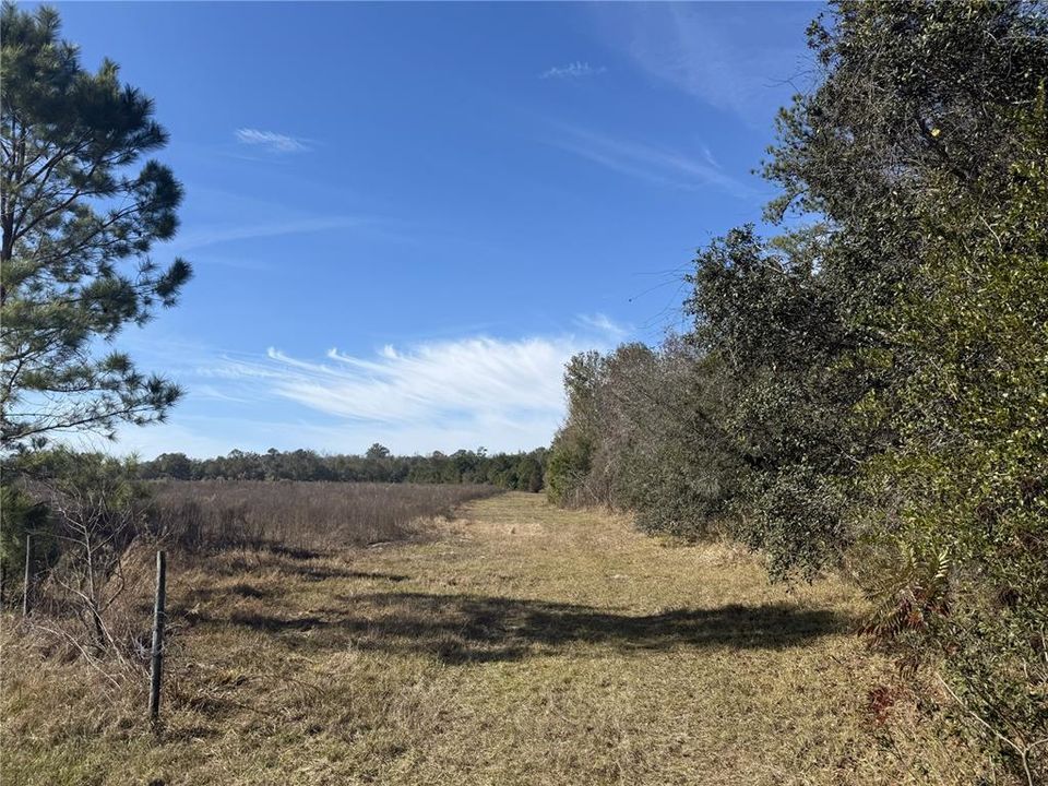 En Venta: $1,948,320 (216.48 acres)