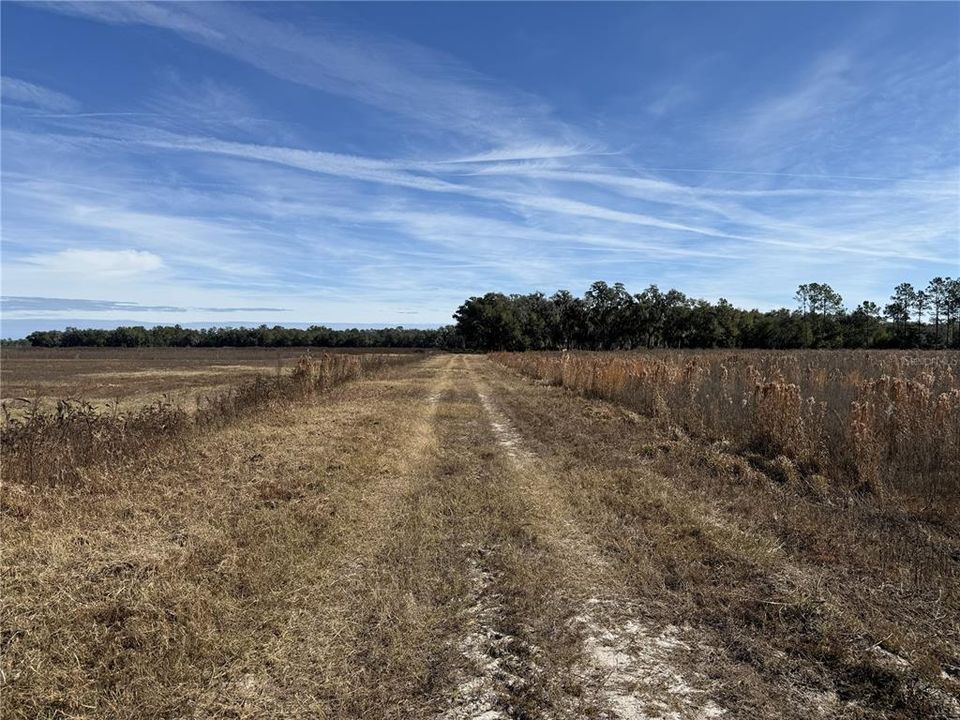 En Venta: $1,948,320 (216.48 acres)