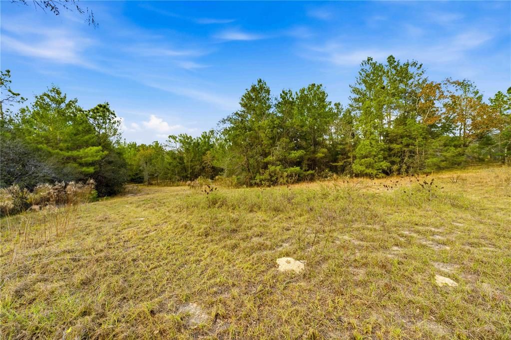 待售: $240,000 (5.00 acres)