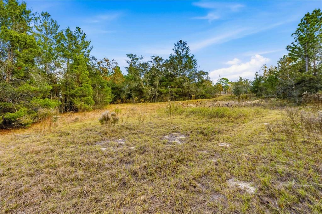 待售: $240,000 (5.00 acres)