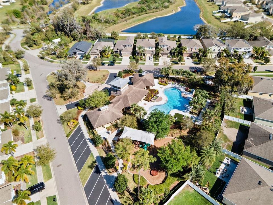 出租: $2,950 (5 贝兹, 2 浴室, 2601 平方英尺)