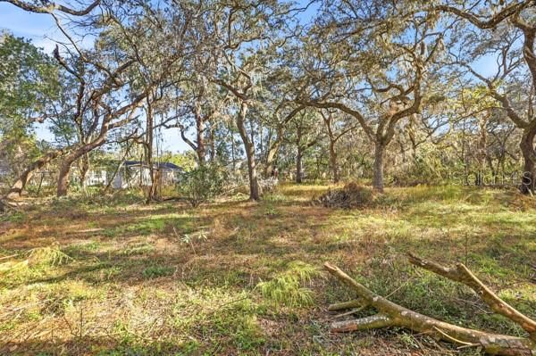 For Sale: $19,500 (0.30 acres)