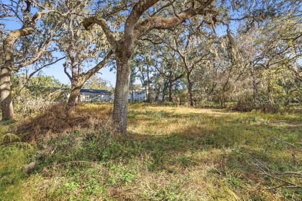 For Sale: $19,500 (0.30 acres)