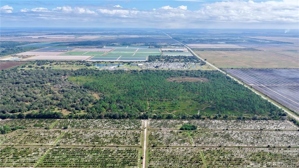 For Sale: $2,100,000 (164.60 acres)