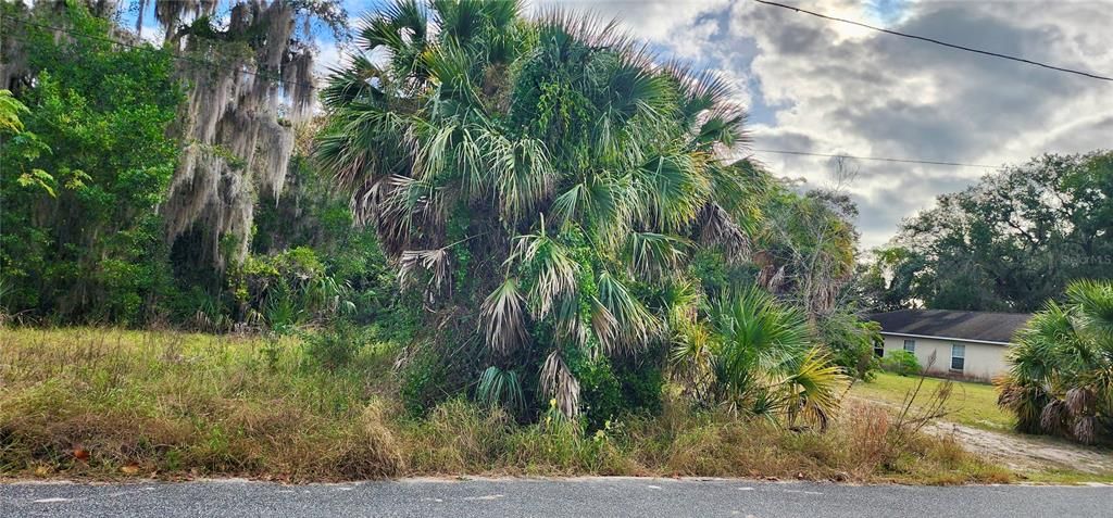 For Sale: $55,000 (0.16 acres)