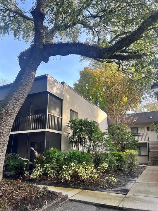 En Venta: $125,000 (1 camas, 1 baños, 800 Pies cuadrados)