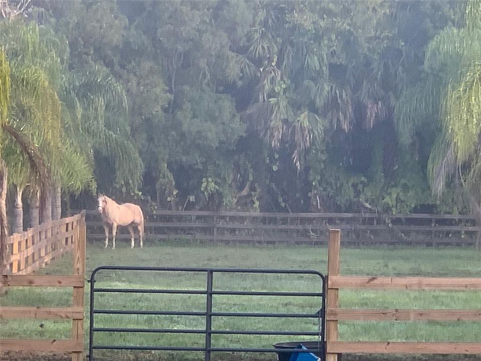 For Sale: $515,000 (2 beds, 2 baths, 1488 Square Feet)