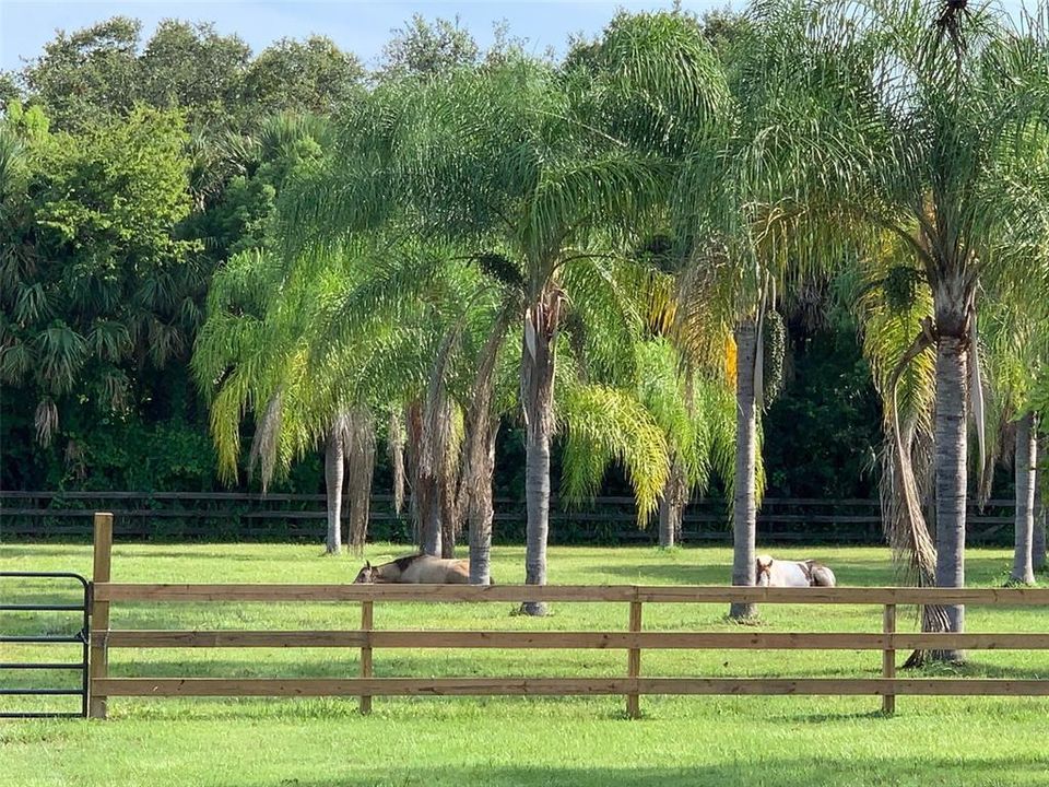 For Sale: $515,000 (2 beds, 2 baths, 1488 Square Feet)