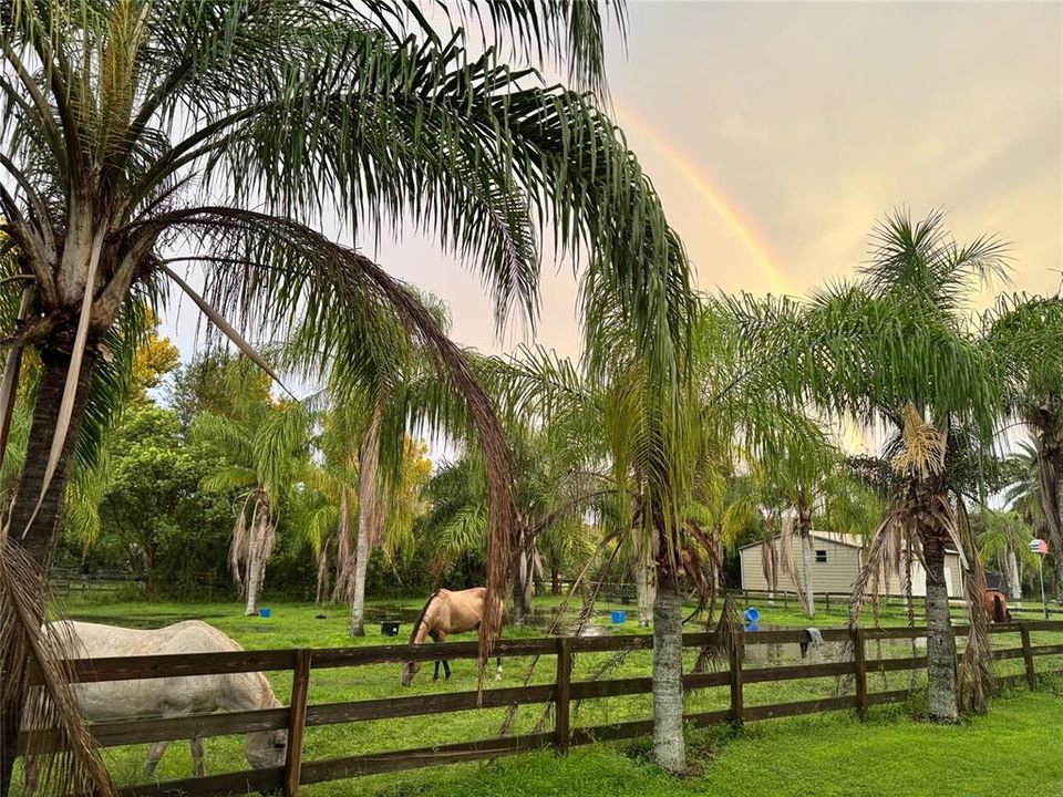 For Sale: $515,000 (2 beds, 2 baths, 1488 Square Feet)