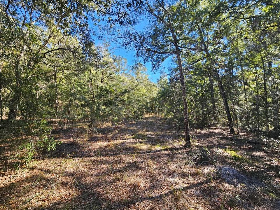 На продажу: $325,000 (20.00 acres)