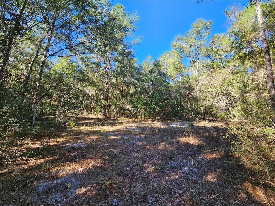 На продажу: $325,000 (20.00 acres)