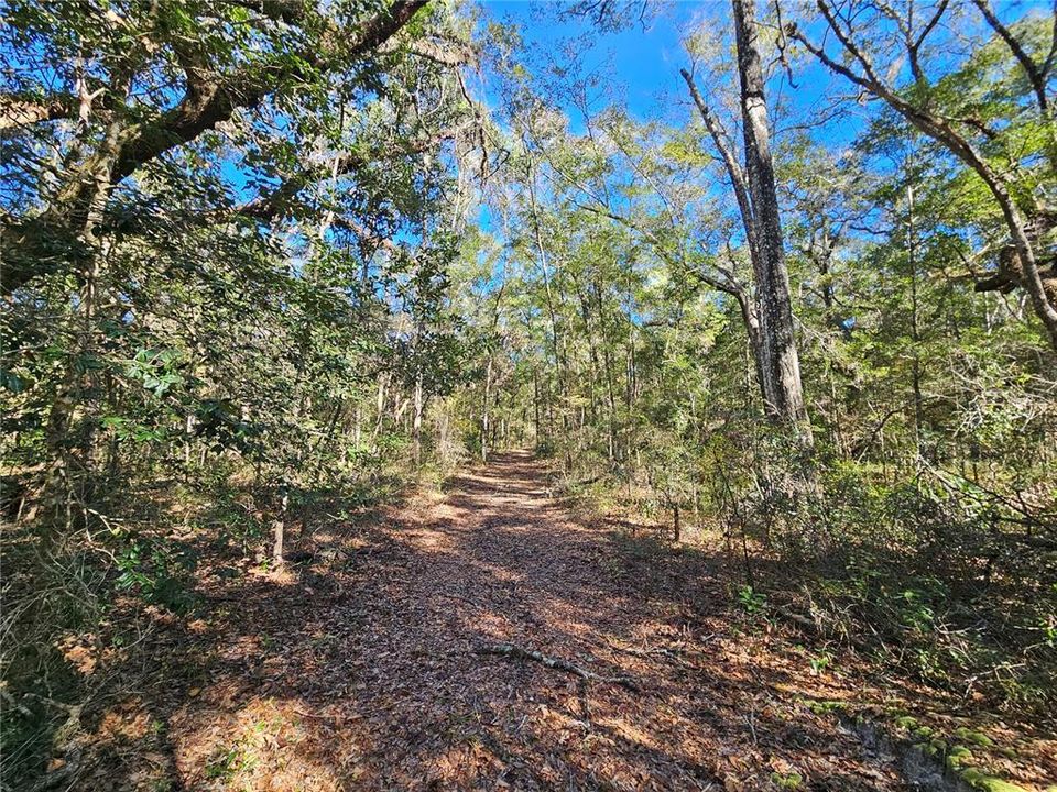 На продажу: $325,000 (20.00 acres)