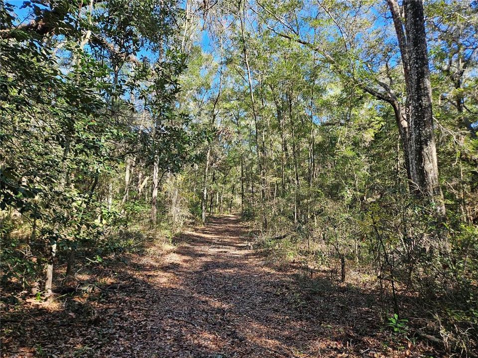 На продажу: $325,000 (20.00 acres)