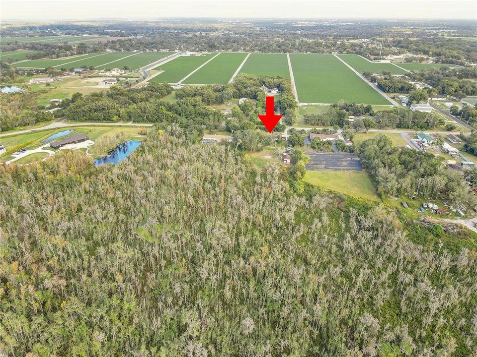 待售: $455,000 (3 贝兹, 3 浴室, 1716 平方英尺)