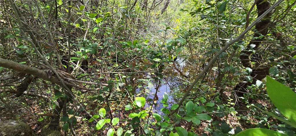 На продажу: $9,400 (0.23 acres)