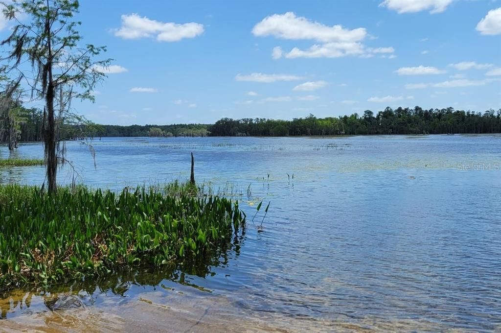 На продажу: $9,400 (0.23 acres)