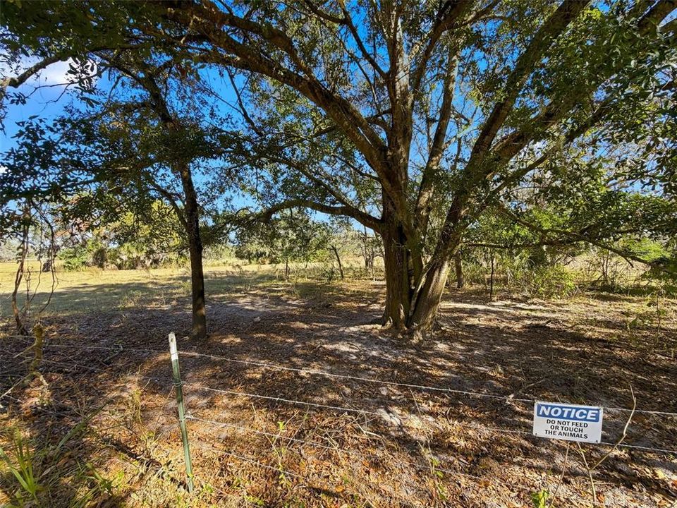 For Sale: $349,000 (3 beds, 2 baths, 1559 Square Feet)