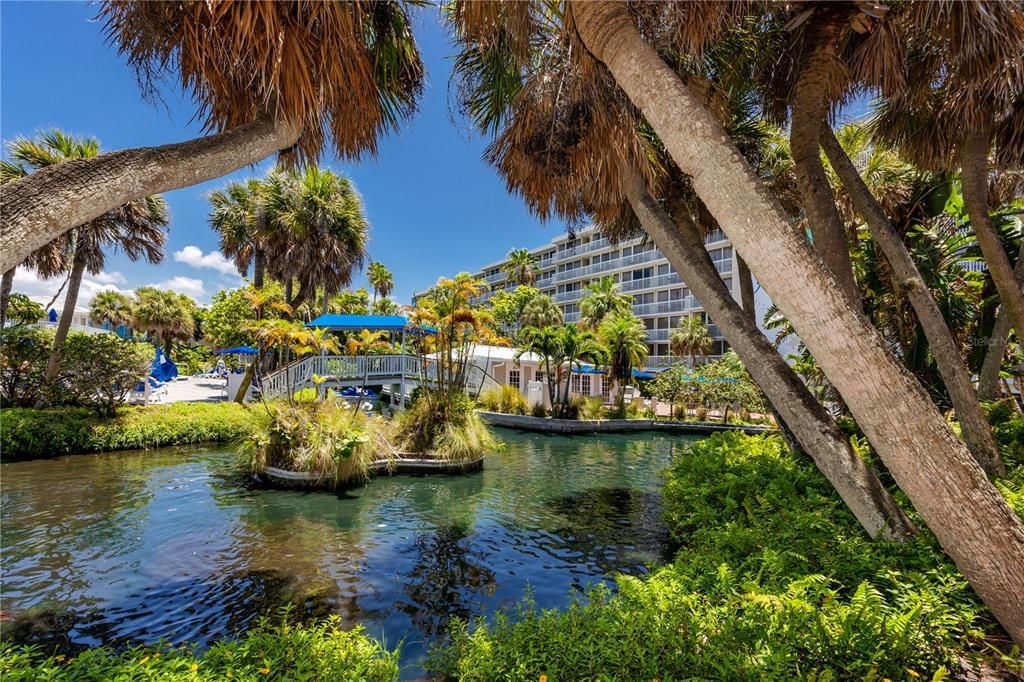 待售: $537,500 (2 贝兹, 2 浴室, 835 平方英尺)