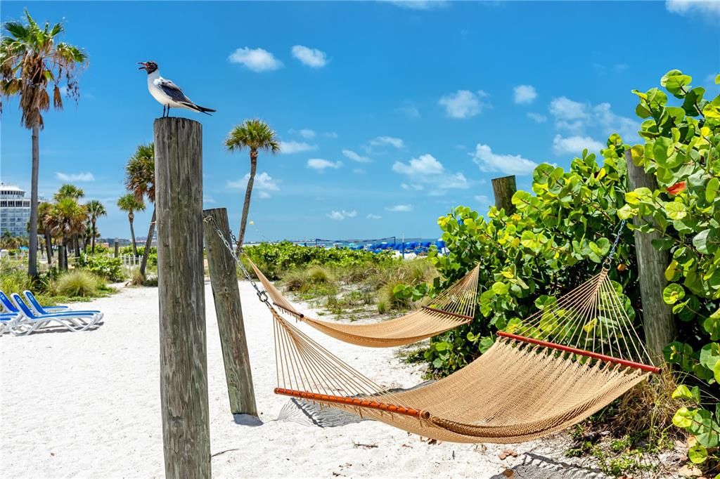 待售: $537,500 (2 贝兹, 2 浴室, 835 平方英尺)