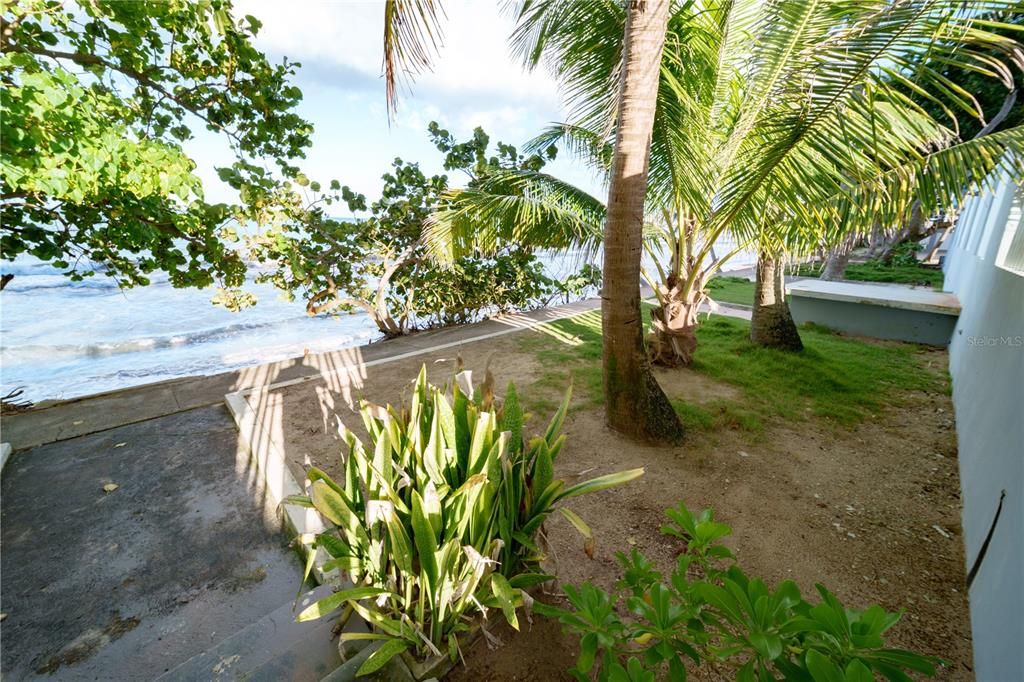 待售: $375,000 (1 贝兹, 1 浴室, 750 平方英尺)