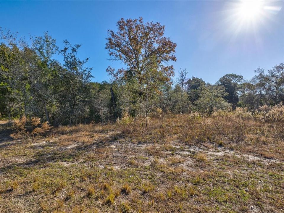 En Venta: $90,000 (1.12 acres)