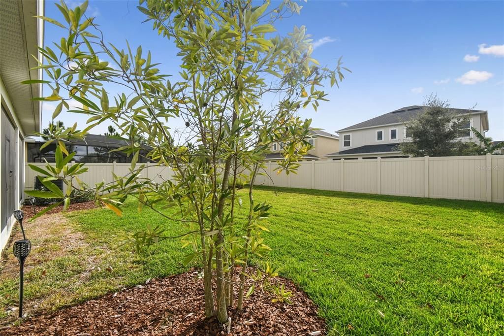 For Sale: $599,000 (5 beds, 3 baths, 2612 Square Feet)