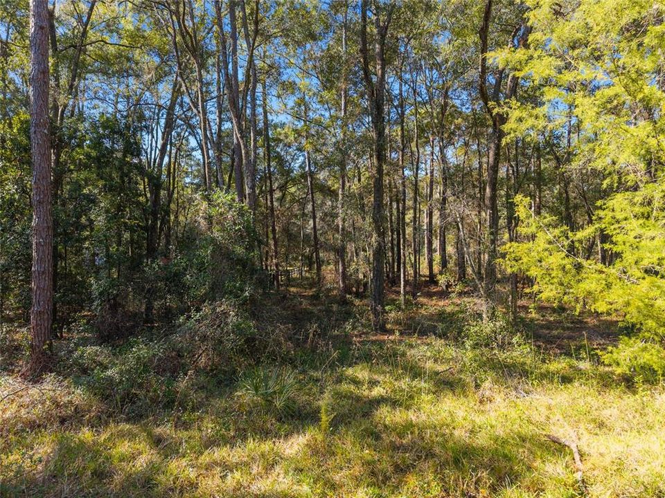 En Renta: $1,600 (2 camas, 1 baños, 896 Pies cuadrados)