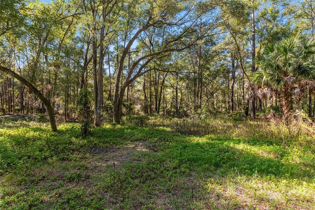 En Renta: $1,600 (2 camas, 1 baños, 896 Pies cuadrados)