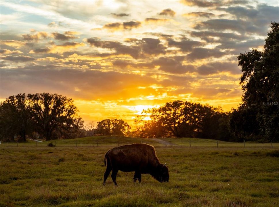 待售: $120,000 (0.06 acres)